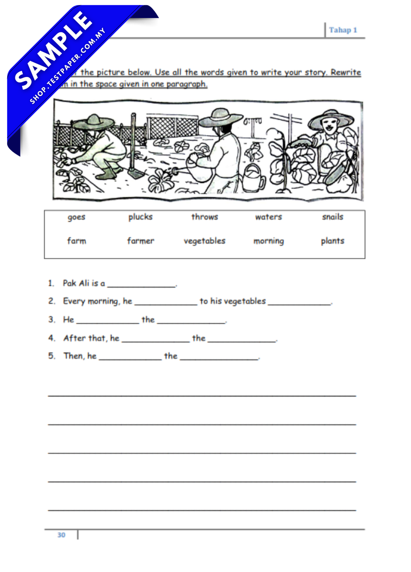 TP139 - English Year 1, Year 2, Year 3 : Optima Picture - Based ...
